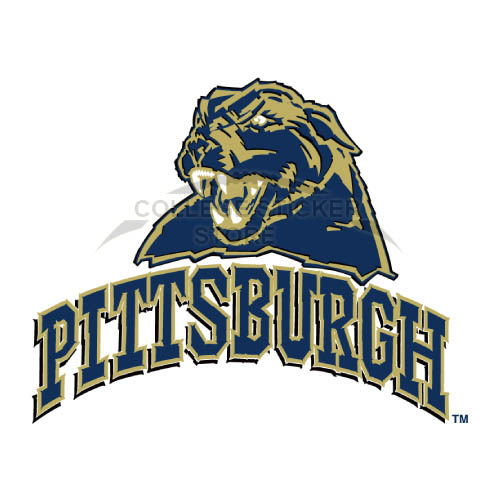 Homemade Pittsburgh Panthers Iron-on Transfers (Wall Stickers)NO.5904